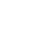 Digital Eco Print